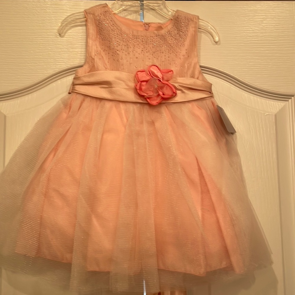 Dorissa 2T NWT blush party dress